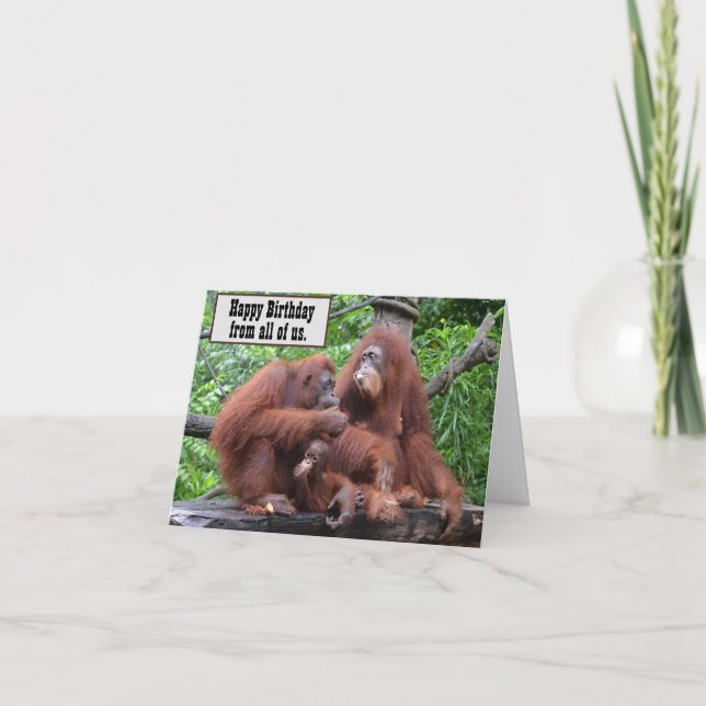 Carte Petit déjeuner avec Orangutans Joyeux Anniversaire (Devant)
