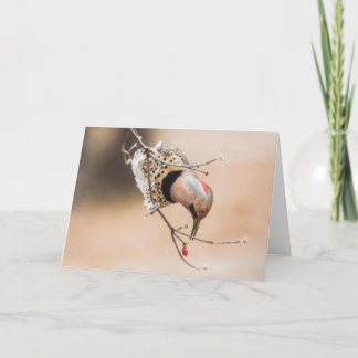 Carte Petit déjeuner de Dogwood Berry