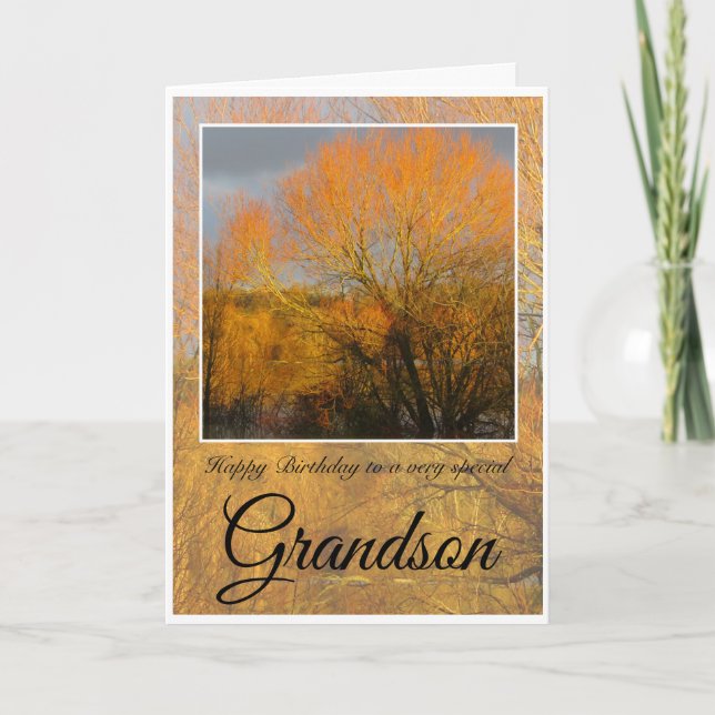 Carte Petit-fils d'anniversaire, arbres d'hiver ensoleil (Devant)