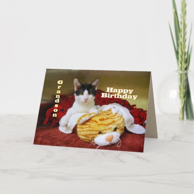 Carte Petit-fils Joyeux Kitten d'anniversaire avec Tigre (Devant)