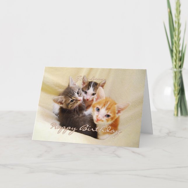 Carte Petit-fils Joyeux Trio d'anniversaire de Kittens (Devant)