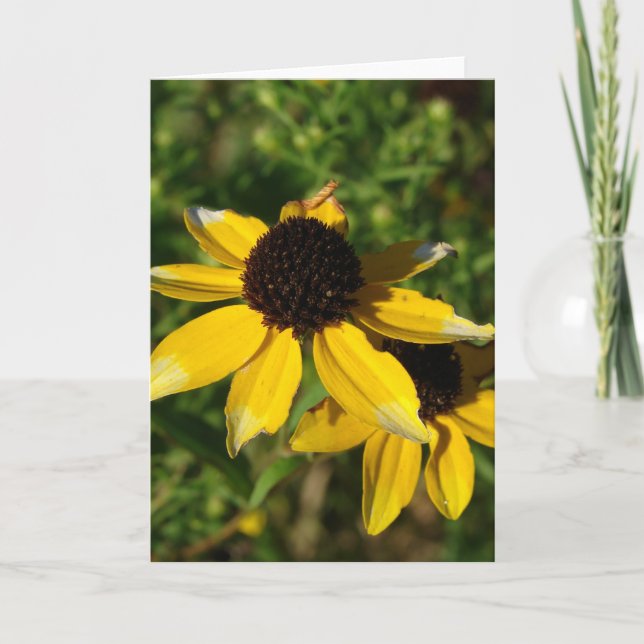 Carte Petit Fleur sauvage jaune (Devant)