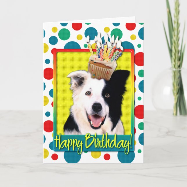 Carte Petit gâteau d'anniversaire - border collie (Devant)