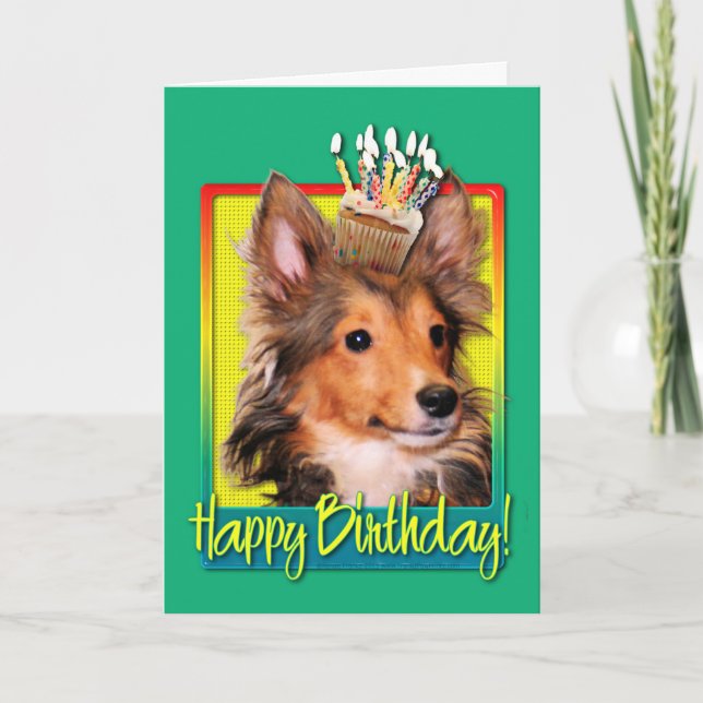 Carte Petit gâteau d'anniversaire - chiot de Sheltie - (Devant)