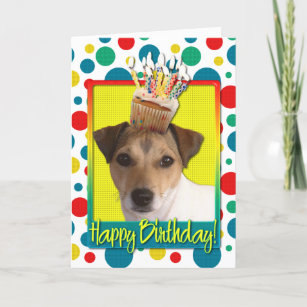 Cartes Jack Russel D Anniversaire Zazzle Fr