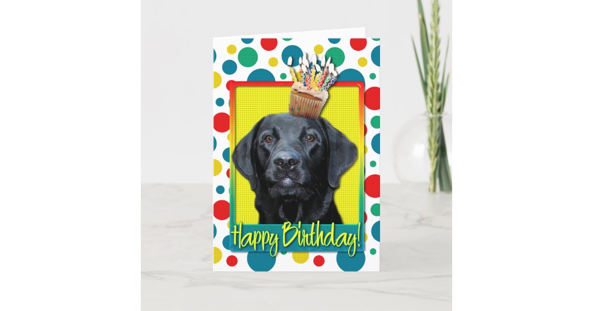 Carte Danniversaire Labrador Noir Cartes De Vœux Cartes Et Papier Cartonne Inzaboton Com Carte Danniversaire Labrador Noir Cartes De Vœux Cartes Et Papier Cartonne Inzaboton Com