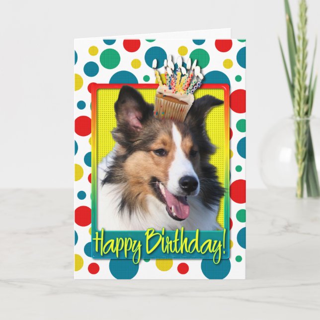 Carte Petit gâteau d'anniversaire - Sheltie (Devant)