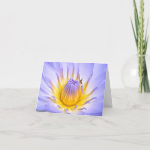 Carte Petit invité