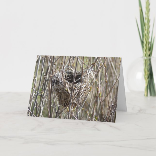 Carte Petit nid (Devant)