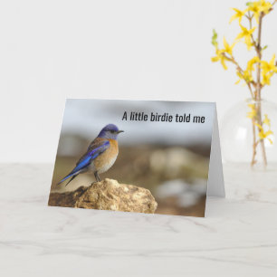 Carte Petit Oiseau M'A Dit, Faites Attention À Ce Que Vo