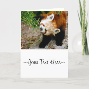 Carte Petit Panda Rouge avec foune - Photo d'animaux