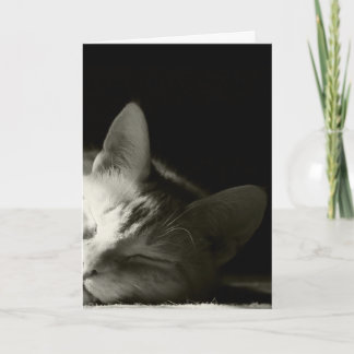 Carte "Petit somme de chat "