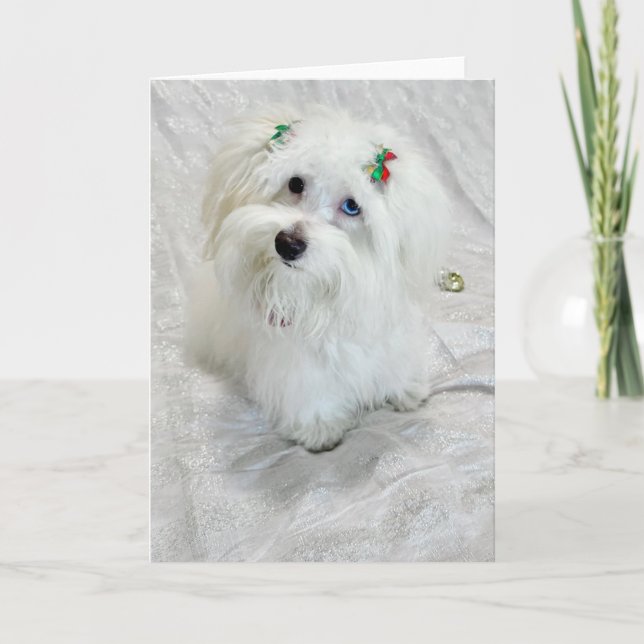 Carte Petit Trésor (Devant)