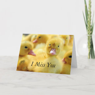 Carte Petits canards