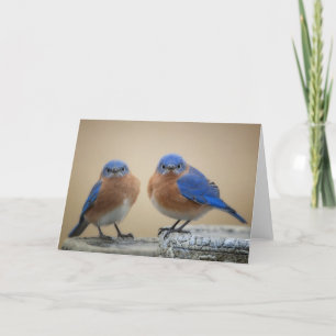 Carte Petits hommes grincheux