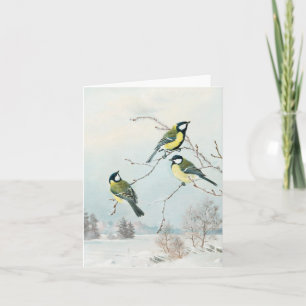 Carte Petits oiseaux mignons par Matti Karppanen, Oiseau