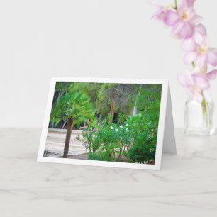 Carte Petits palmiers dans un parc