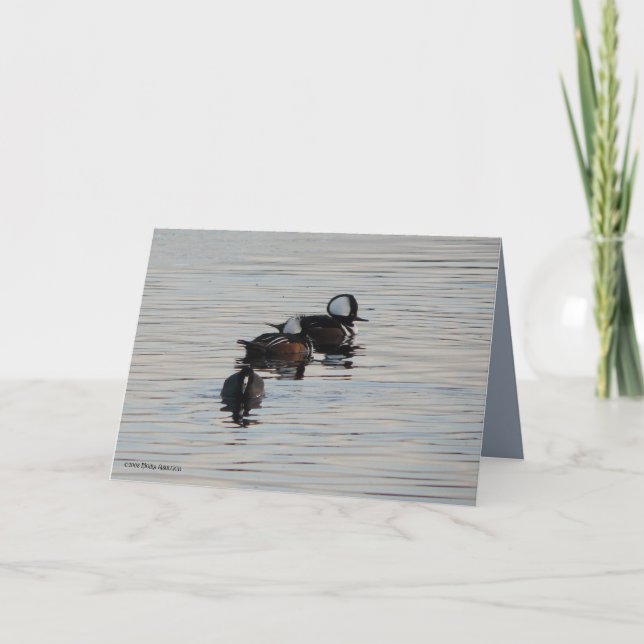 Carte Petits plongeurs (Devant)