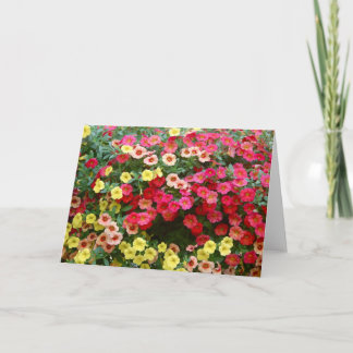 Carte Petunias