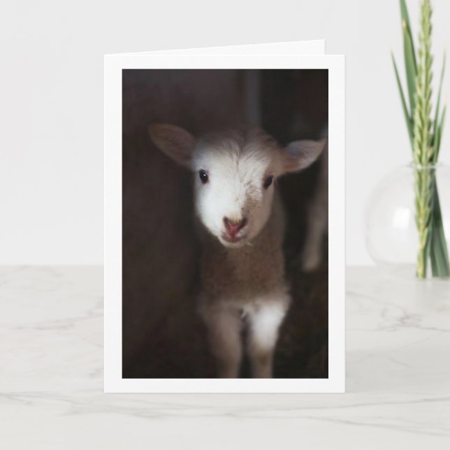 CARTE PEUT-ÊTRE UN BÉBÉ MAIS JE PEUX DIRE **JEUNE NOËL** (Devant)