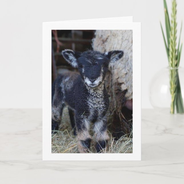 CARTE PEUT-ÊTRE UN "ENFANT", MAIS JE PEUX DIRE **MERCI N (Devant)