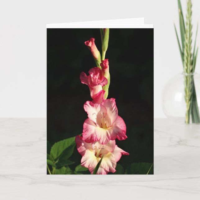 Carte Peut votre coeur être heureux, Gladiola (Devant)