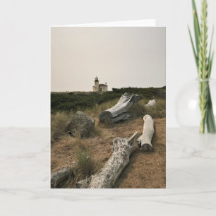Carte Phare de la rivière Coquille, OU