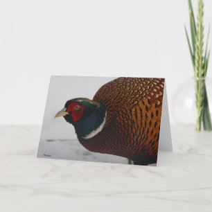 Carte Pheasant