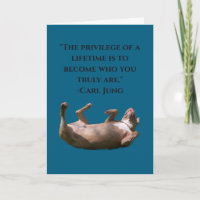 Philosophie Pit Bull