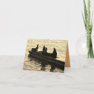 Carte Phoques au bord de la mer