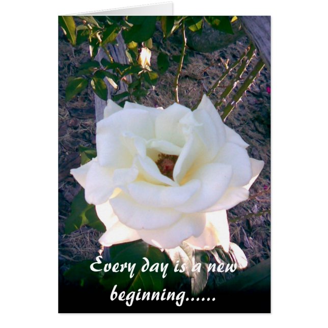 CARTE PHOTO 1 (Devant)