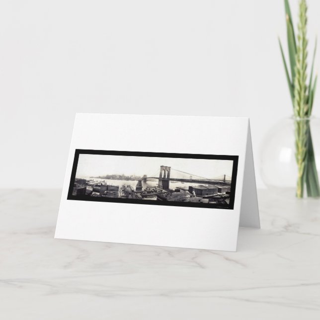 Carte Photo 1913 de Brooklyn New York (Devant)