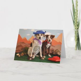 Carte Photo, 2 chiens occidentaux