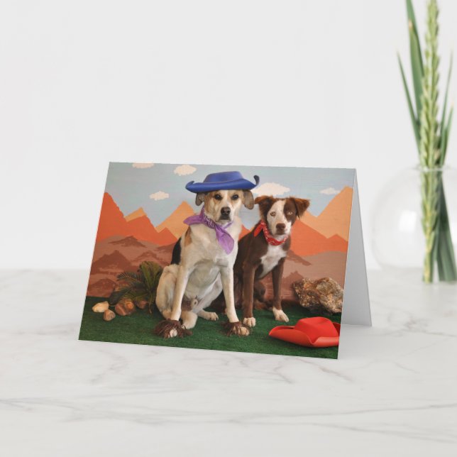 Carte Photo, 2 chiens occidentaux (Devant)