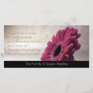 Carte photo 2 de Merci de sympathie de Gerbera