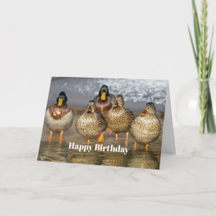 Carte Photo Anniversaire des Canards de Mallard
