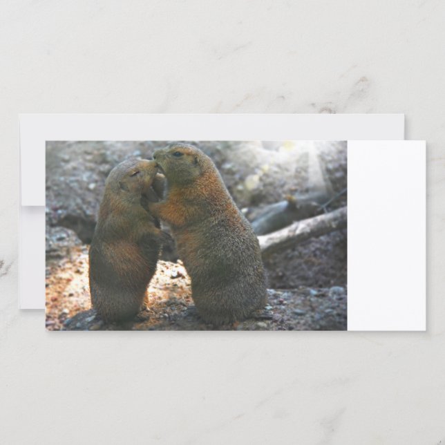 Carte photo avec couple de marmottes mignonnes (Devant)
