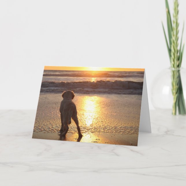 Carte photo blanc Golden Retriever (Devant)