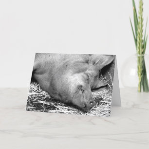 Carte Photo blanche et noir foncé (Sleeping Pig Black an