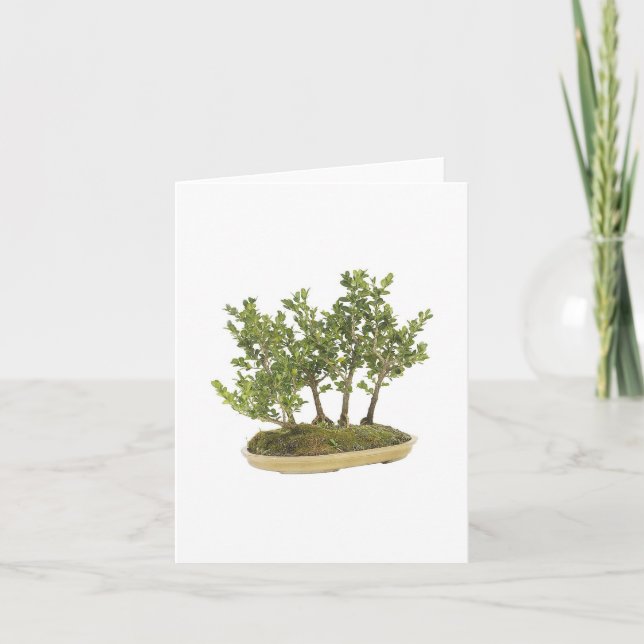 Carte Photo Bonsai 3 (Devant)
