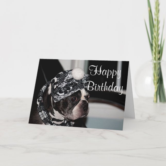 Carte Photo Boston Terrier (Devant)