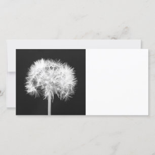 Carte photo Dandelion