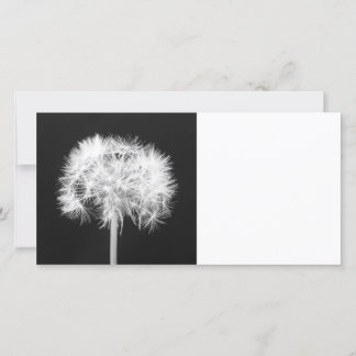 Carte photo Dandelion