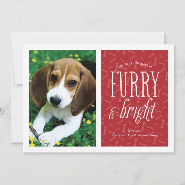 Carte photo d'animal de compagnie Furry and Bright (Devant)