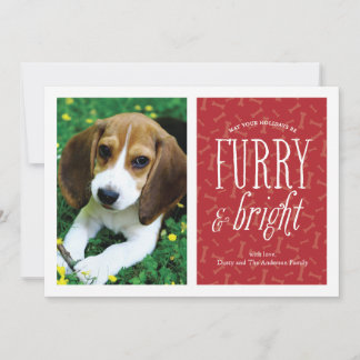 Carte photo d'animal de compagnie Furry and Bright