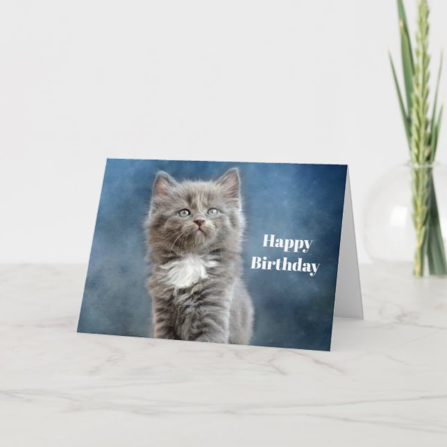 Carte Photo d'anniversaire Cute Grey and White Kitten (Devant)
