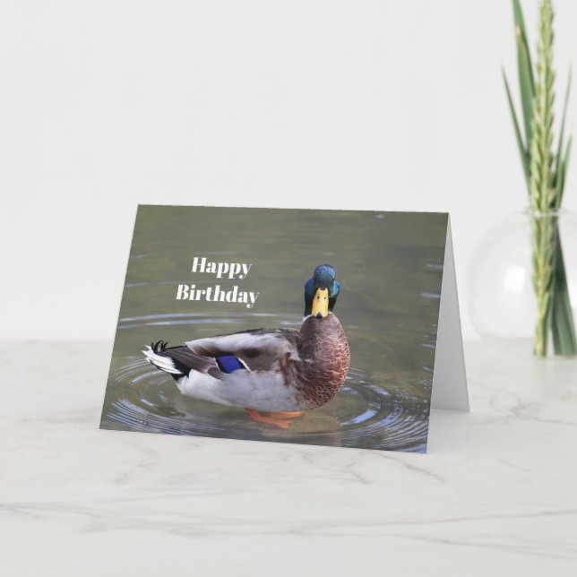Carte Photo d'anniversaire de Mallard Duck Drake Water (Devant)
