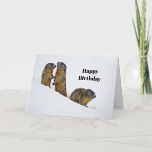 Cartes Marmotte D Anniversaire Zazzle Fr