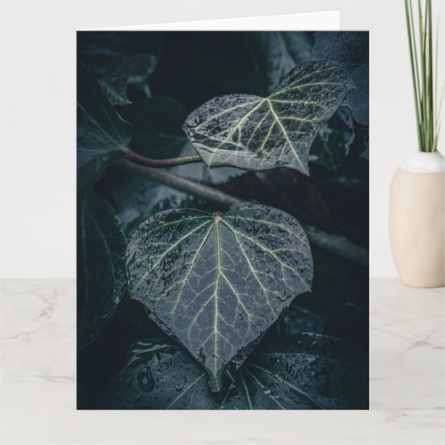 Carte Photo Dark Ivy Nature (Devant)
