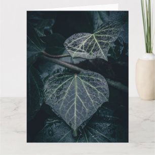 Carte Photo Dark Ivy Nature